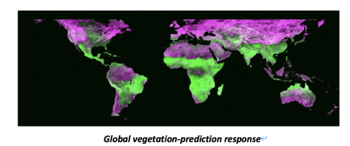 Accelerating the Global Vegetation-Precipitation Correlation Algorithm